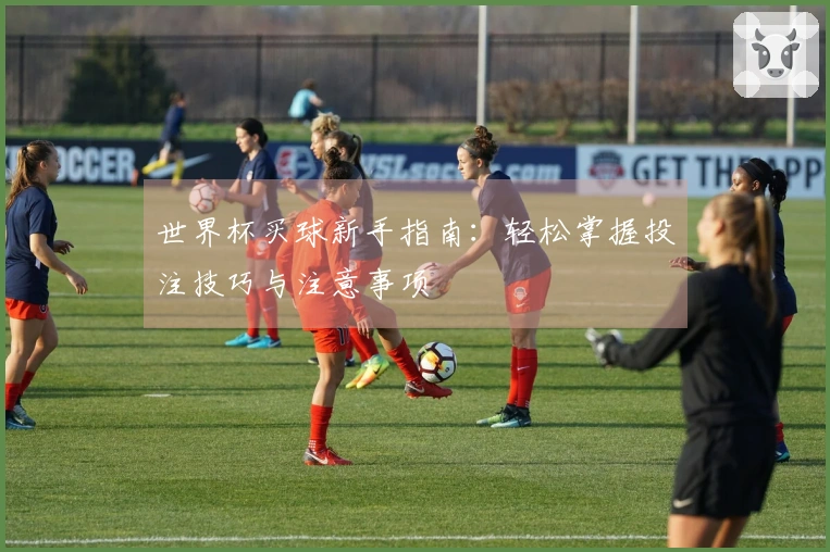 世界杯买球新手指南：轻松掌握投注技巧与注意事项