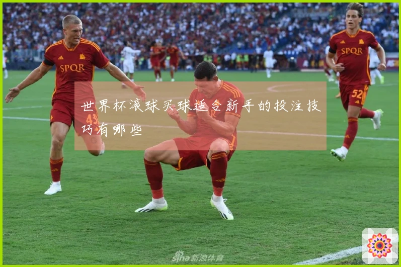 世界杯滚球买球适合新手的投注技巧有哪些