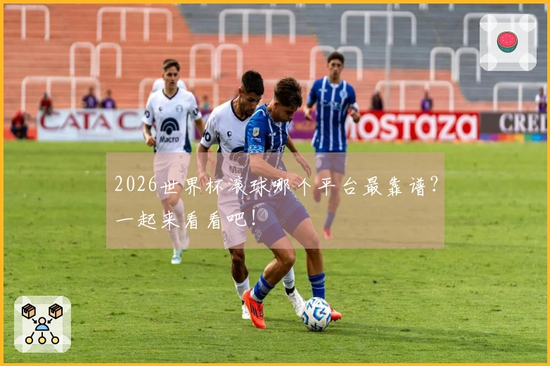 2026世界杯滚球哪个平台最靠谱？一起来看看吧！