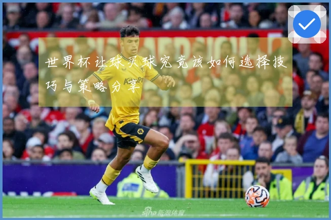 世界杯让球买球究竟该如何选择技巧与策略分享