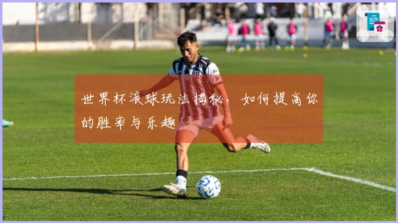 世界杯滚球玩法揭秘，如何提高你的胜率与乐趣