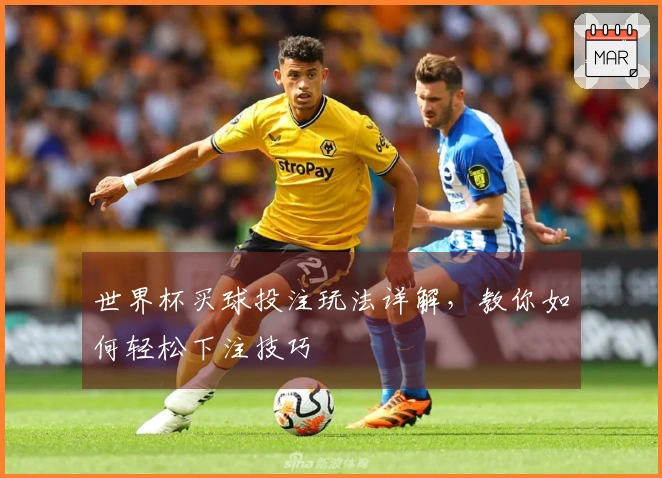 世界杯买球投注玩法详解，教你如何轻松下注技巧