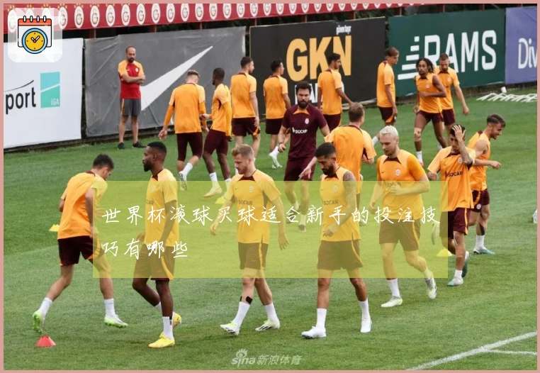 世界杯滚球买球适合新手的投注技巧有哪些